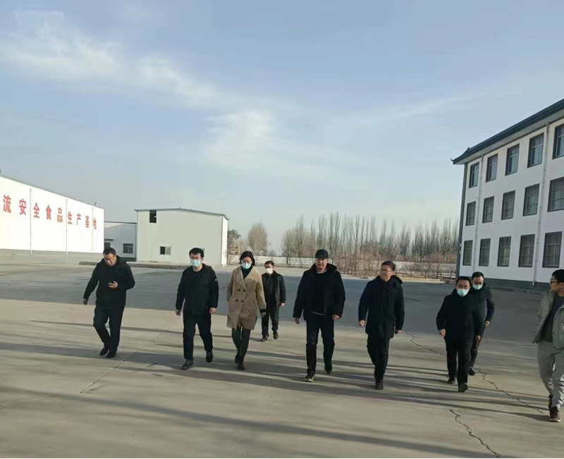 石嘴山市副市長、惠農(nóng)區(qū)委書記王宇翔蒞臨寧夏興康恒潤農(nóng)業(yè)科技發(fā)展有限公司調(diào)研
