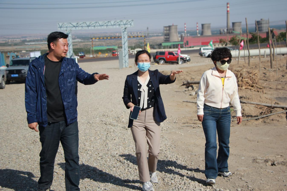 石嘴山市農(nóng)業(yè)農(nóng)村局副局長徐永霞、農(nóng)經(jīng)中心主任王曉斌一行蒞臨基地檢查指導(dǎo)