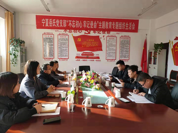 寧夏岳氏黨支部召開“不忘初心，牢記使命”主題教育專題組織生活會(huì)